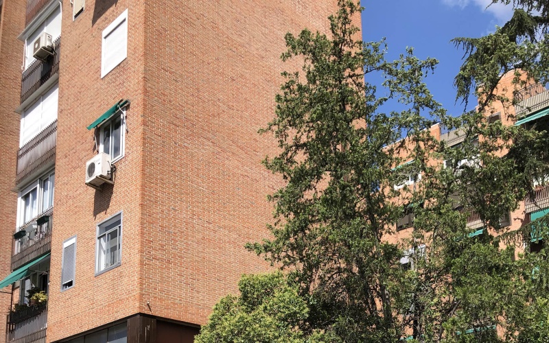 Calle Calle de la Aurora, floor 1, Valdezarza, 1 Bedroom Bedrooms, ,1 BathroomBathrooms,Apartment,Medium Term Let,Calle de la Aurora,1,55