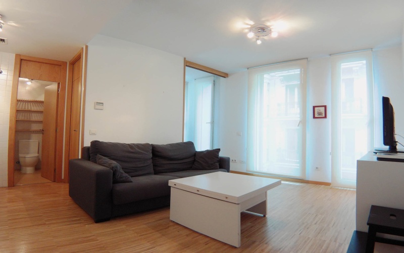 Calle Calle de Cervantes, floor 3, Huertas-Cortes, ,1 BathroomBathrooms,Studio,Medium Term Let,Calle de Cervantes,3,109