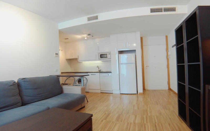 Calle Calle de Cervantes, floor 3, Huertas-Cortes, ,1 BathroomBathrooms,Studio,Medium Term Let,Calle de Cervantes,3,110