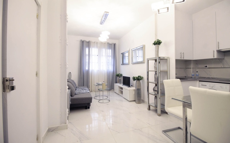 Avenida Avenida del Doctor Federico Rubio y Gali, floor, Bellas Vistas, 1 Bedroom Bedrooms, ,1 BathroomBathrooms,Apartment,Medium Term Let,Avenida del Doctor Federico Rubio y Gali,127