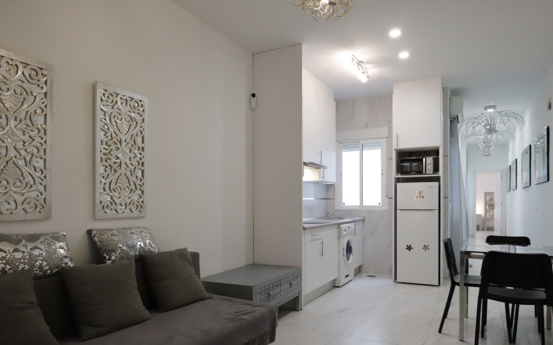 Avenida Avenida del Doctor Federico Rubio y Gali, floor, Bellas Vistas, 1 Bedroom Bedrooms, ,1 BathroomBathrooms,Apartment,Medium Term Let,Avenida del Doctor Federico Rubio y Gali,129