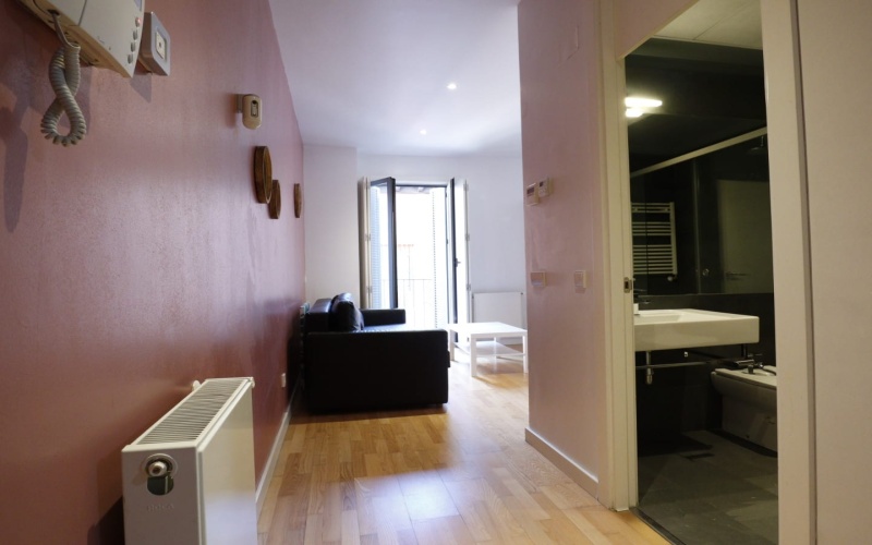 Calle Calle de la Pasa, floor 2, Palacio, 1 Bedroom Bedrooms, ,1 BathroomBathrooms,Studio,Medium Term Let,Calle de la Pasa,2,295