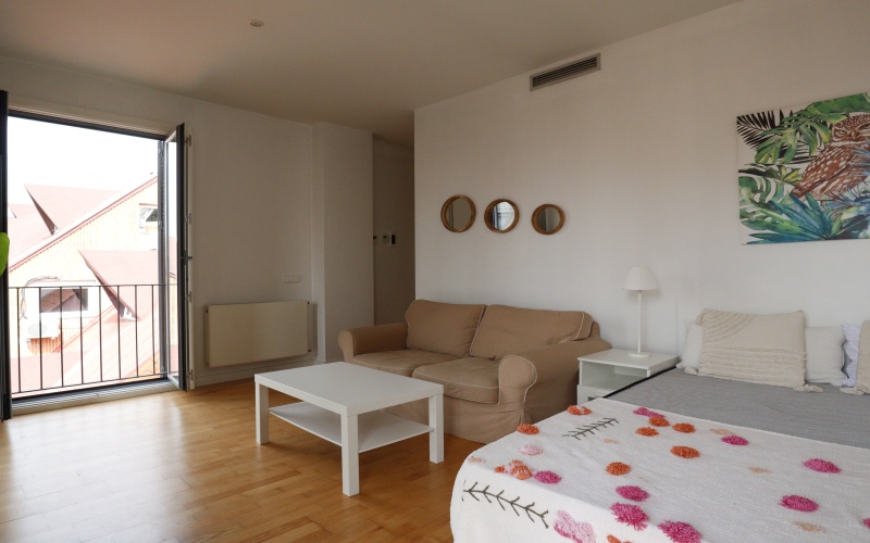 Calle Calle de la Pasa, floor 5, Palacio, ,1 BathroomBathrooms,Studio,Medium Term Let,Calle de la Pasa,5,297