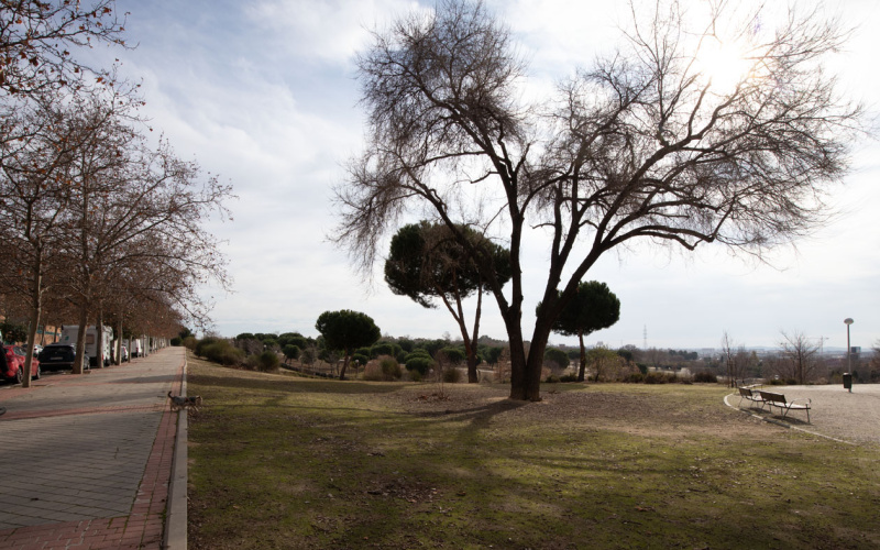 Calle Calle Cordel de Pavones, floor, Vicalvaro, 3 Bedrooms Bedrooms, 0 ,2 BathroomsBathrooms,Apartment,Medium Term Let,Calle Cordel de Pavones,448