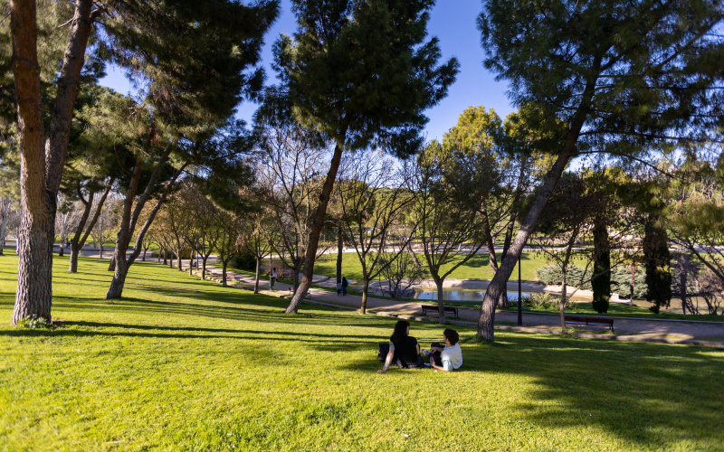 Calle Calle Alferez Juan Usera, floor 1, Carabanchel, 0 ,1 BathroomBathrooms,Studio,Medium Term Let,Calle Alferez Juan Usera,1,450