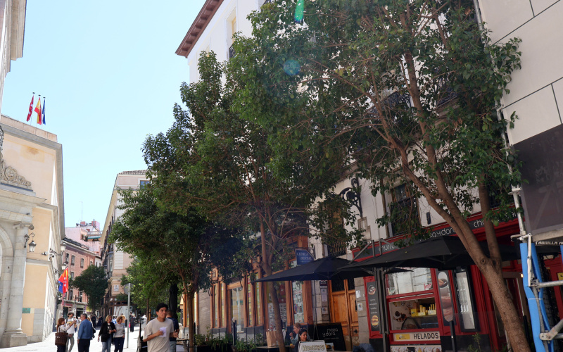 Calle Calle del Correo, floor 5, Centro, 0 ,1 BathroomBathrooms,Studio,Medium Term Let,Calle del Correo,5,467