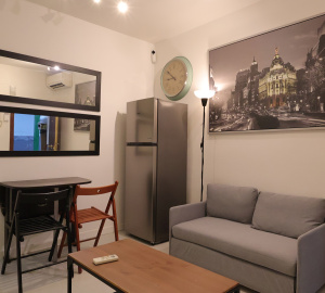 Calle Calle Salitre, floor, Centro, 1 Bedroom Bedrooms, 0 ,1 BathroomBathrooms,Apartment,Medium Term Let,Calle Salitre,483